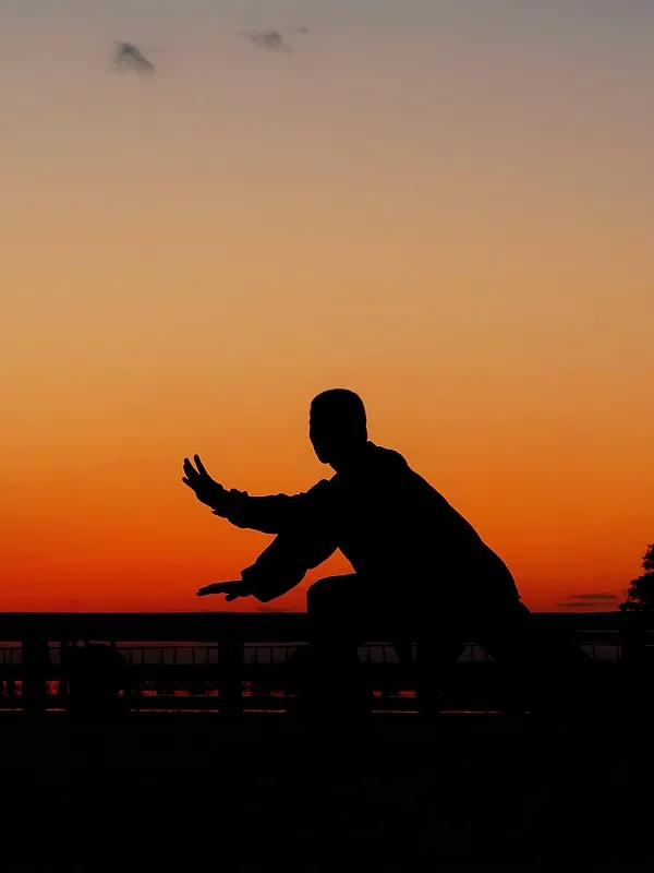 Chinese-style illustration of martial arts practice